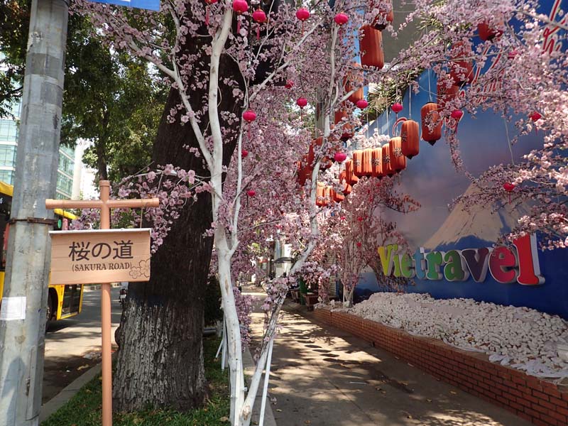 30度以上ある猛暑の 中に人口的な桜の道。 ホームセンター入口に 面している歩道を装飾 しています。 つい「渋谷の桜は散って いるだろう。春らしく暖かくなってきているのかな」 とふっと遠く離れた日本を 思い出してしまいました。